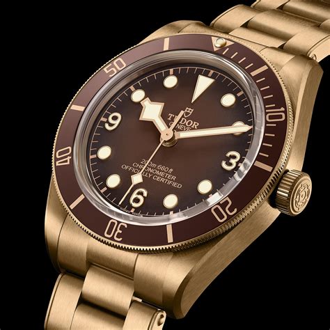 tudor bronzo prezzo|tudor black bay bronze price.